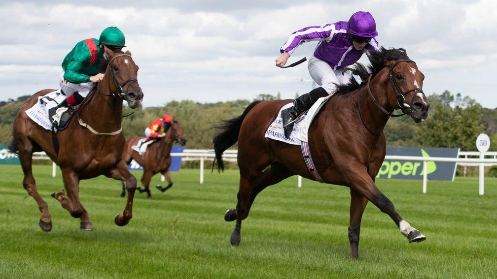 St Markâs Basilica ridden by Ryan Moore wins the Irish Champion Stakes (Group 1).Leopardstown Racecourse.Photo: Patrick McCann/Racing Post11.09.2021