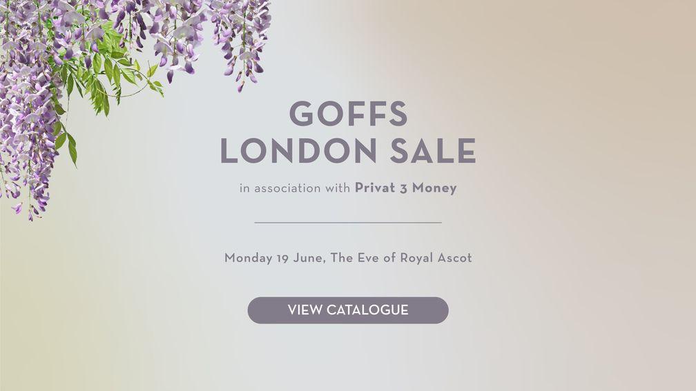 Goffs London Sale