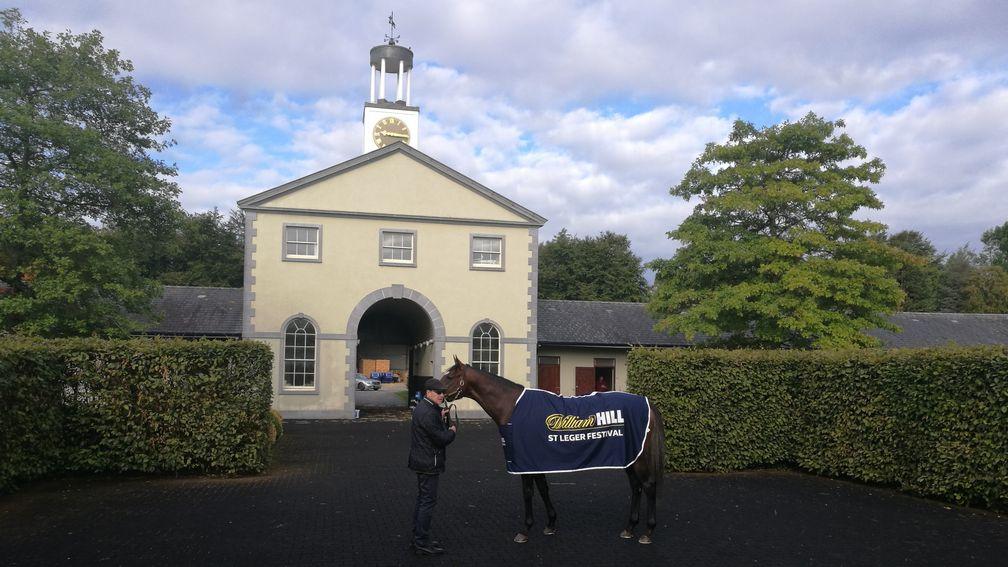 Aidan O'Brien and St Leger favourite Kew Gardens pose for the cameras at Ballydoyle on Tuesday morning
