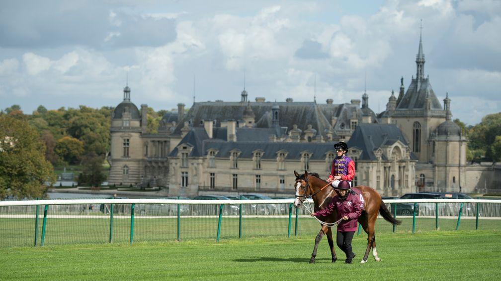 Call To Mind at the start of the Prix Chaudenay against the backdrop of the Chateau de Chantilly