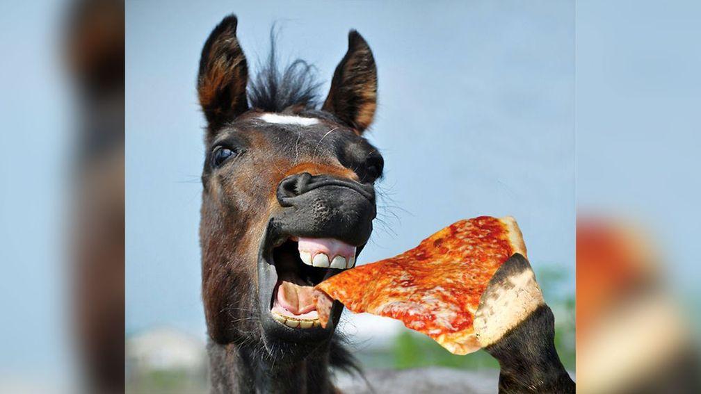 Top that: Reckless Behavior was spotted outside Domino's after running out of Uttoxeter racecourse