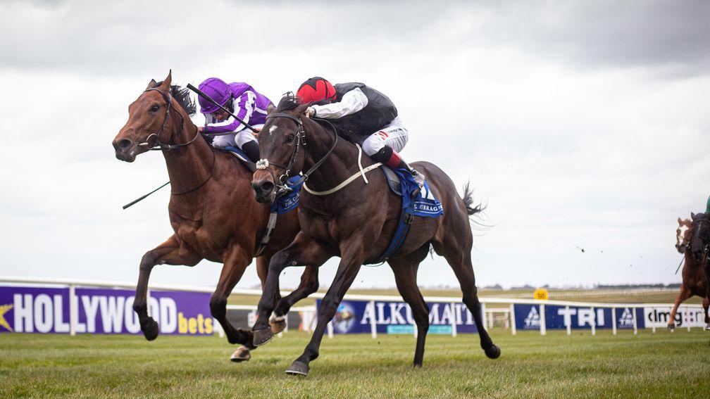 Tough Talk (near side): got the better of Little Big Bear on debut at the Curragh last month