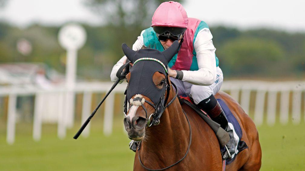 Portrush: closely related to the mighty Enable