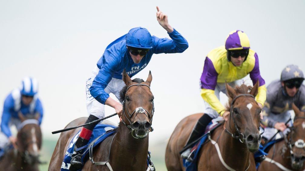 Harry Angel: the July Cup hero will be a popular addition to the Darley stallion ranks in the future