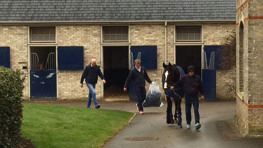 Eminent leaves Sefton Lodge for the last time followed by Freddie and Martyn Meade