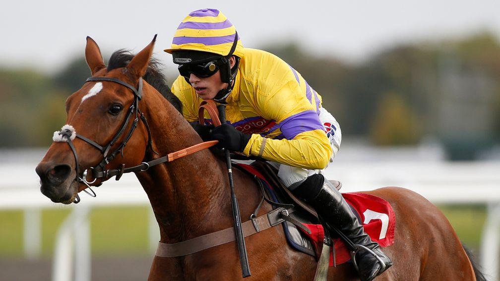 Cliffs Of Dover: bids to make it three wins in a row on the all-weather