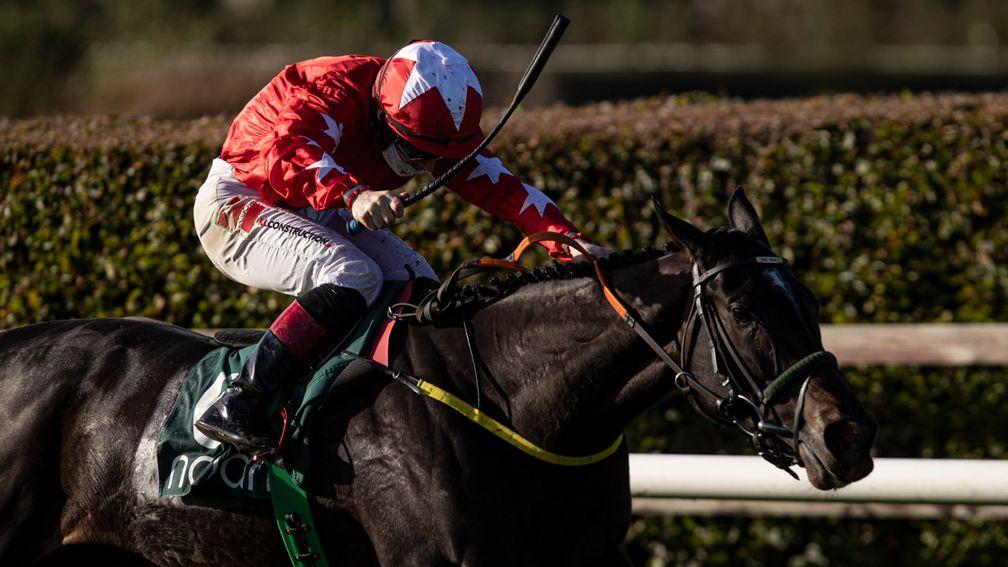 Jesse Evans: backed into single figures for Thursday's Galway Hurdle