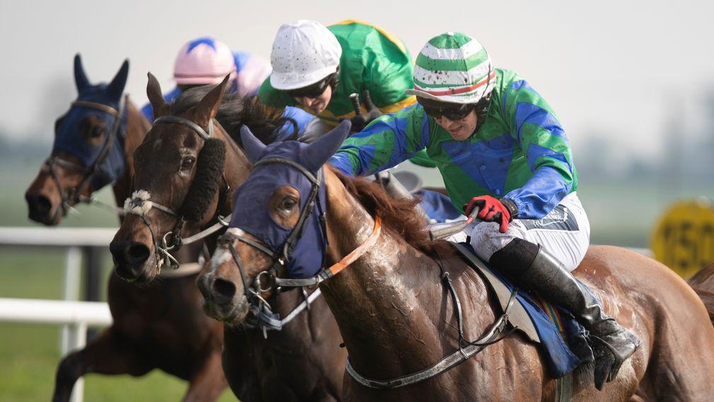 Ronald Pump: set to go straight to Cheltenham for the Paddy Power Stayers' Hurdle