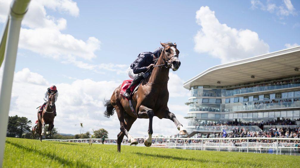 Could be anything: Amedeo Modigliani waltzes clear at Galway