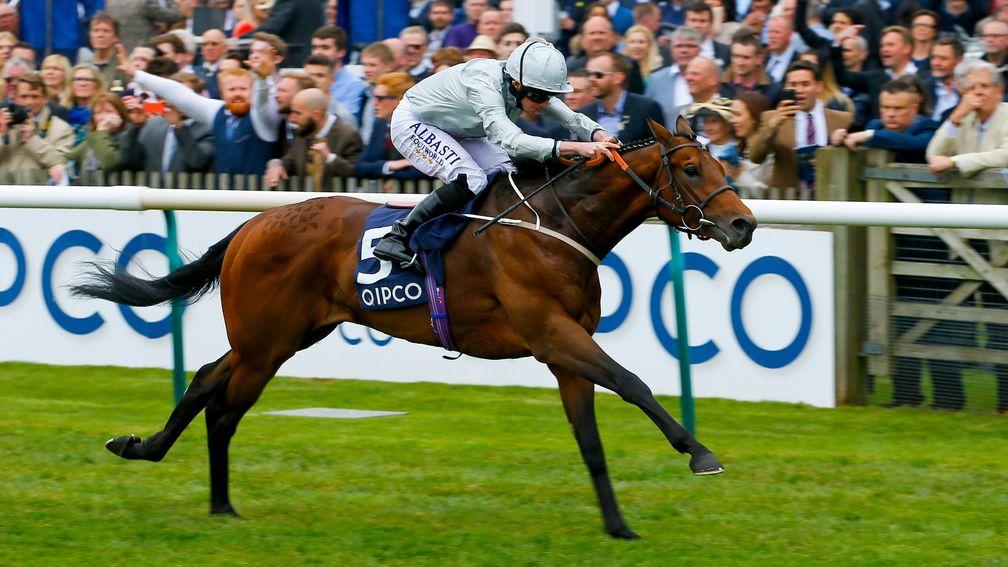Permian: a half-brother to the much-missed dual Group 2 winner is bound for America