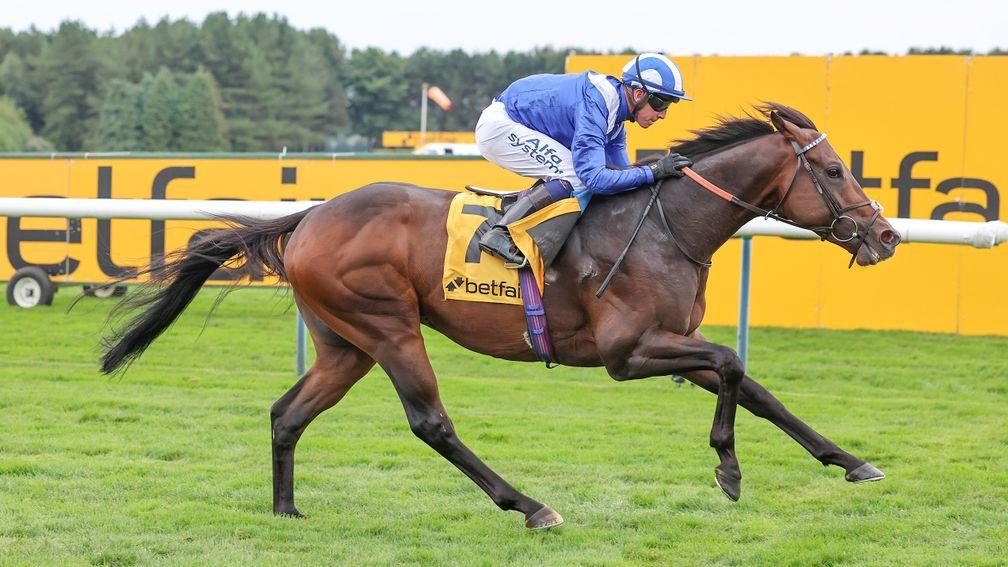 Group 1 Haydock Sprint Cup winner Minzaal has his first mares scanned in foal