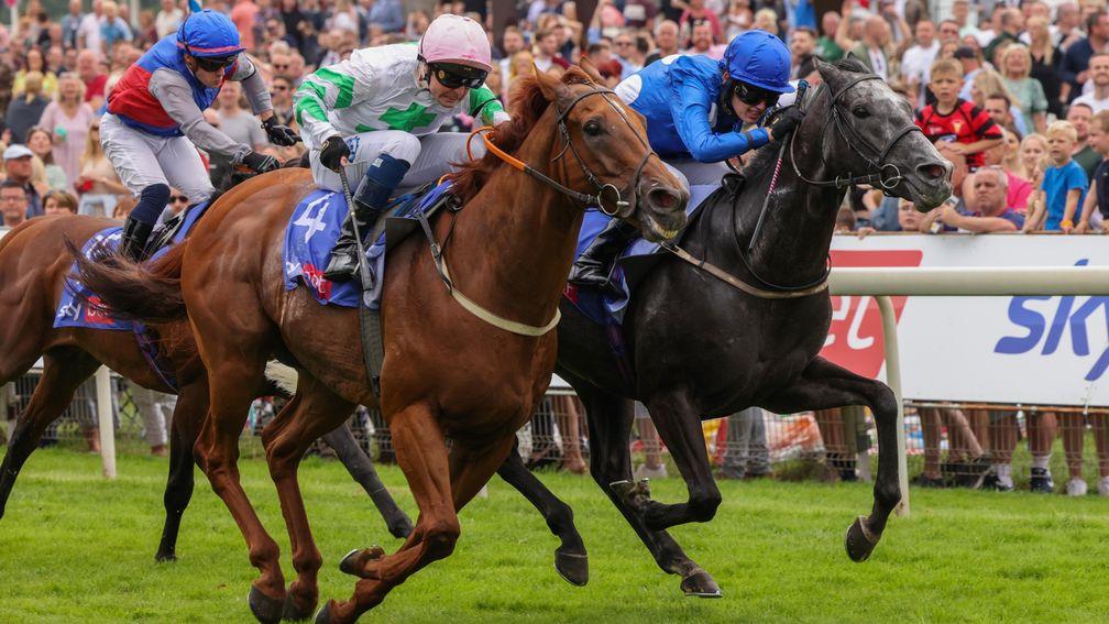 Venturous (left): leaves it late to claim the Dash at York