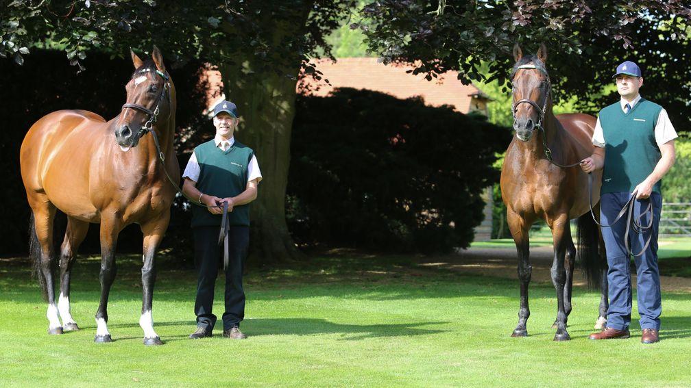 The combination of Frankel (left) and Kingman genes proved a winning one