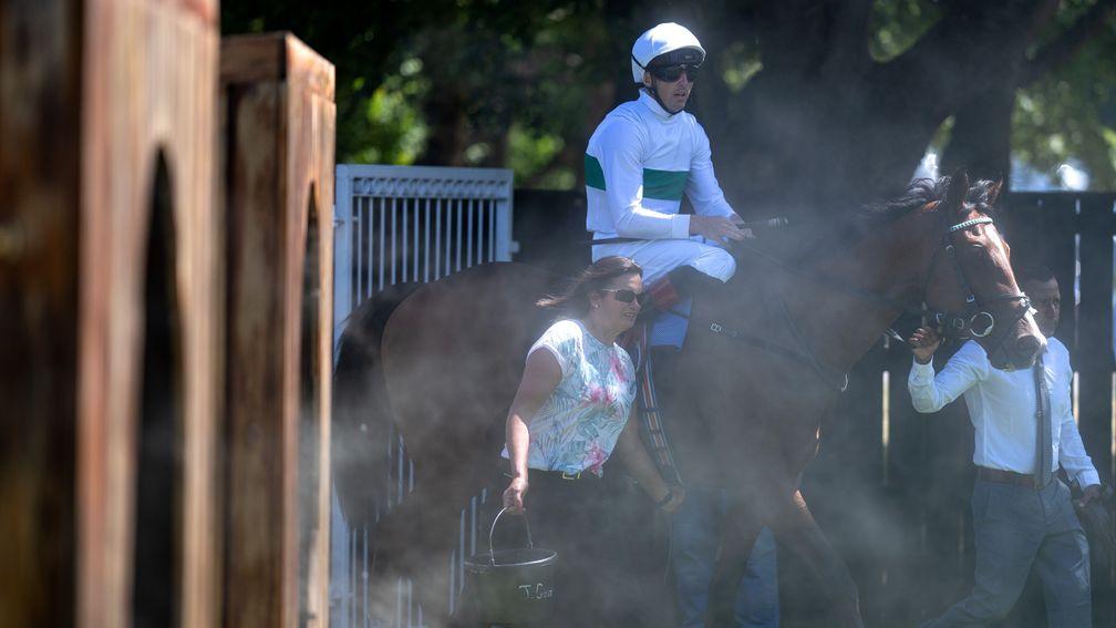 Epictetus (Martin Harley) walks through the water coolers after the 7f maidenNewmarket 8.7.22 Pic: Edward Whitaker