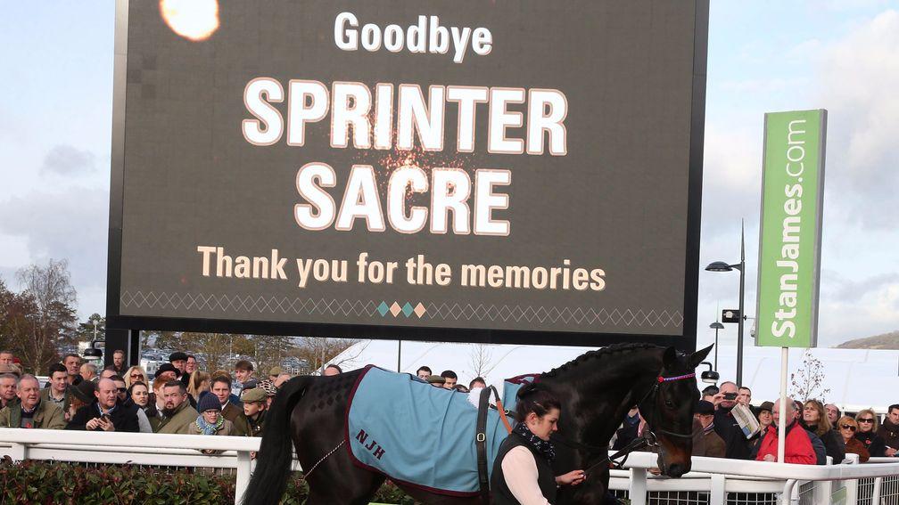 Sprinter Sacre: famous example of horse who benefited from wind surgery