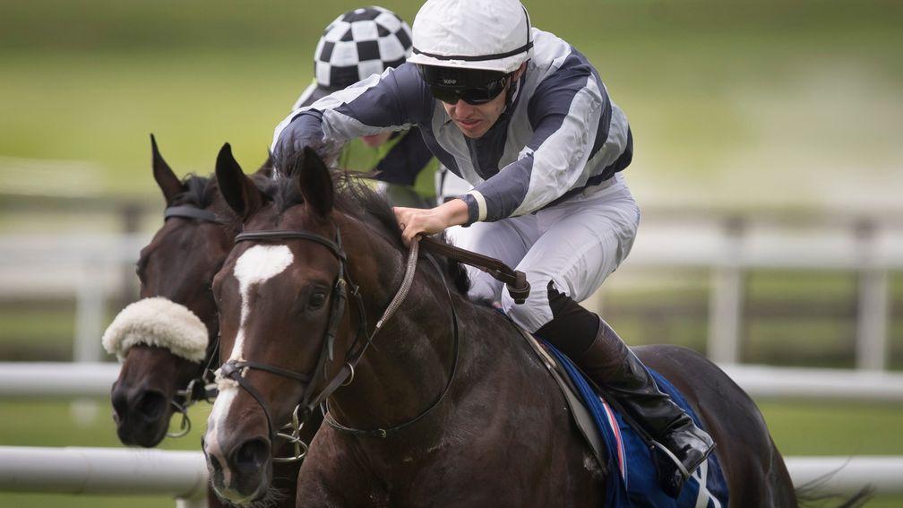 Mount Everest: sets the standard in Wednesday's Heritage Stakes