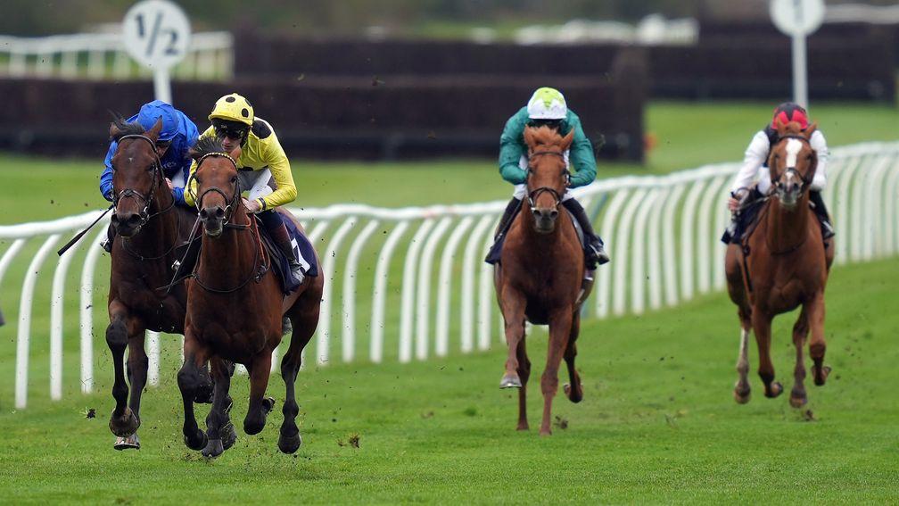 Third Realm (yellow) is in control in Saturday's Derby trial at Lingfield