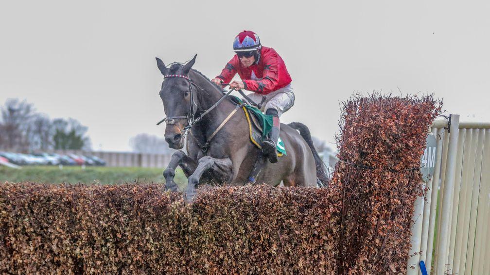 Grand National outsider Ballyhill: Newbury's cancellation has denied him a last chance to qualify for Aintree