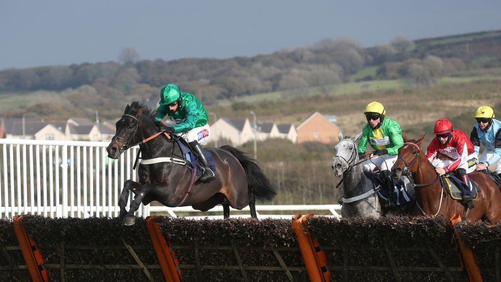 Sceau Royal: entered for the Grade 2 Unibet International Hurdle on Saturday