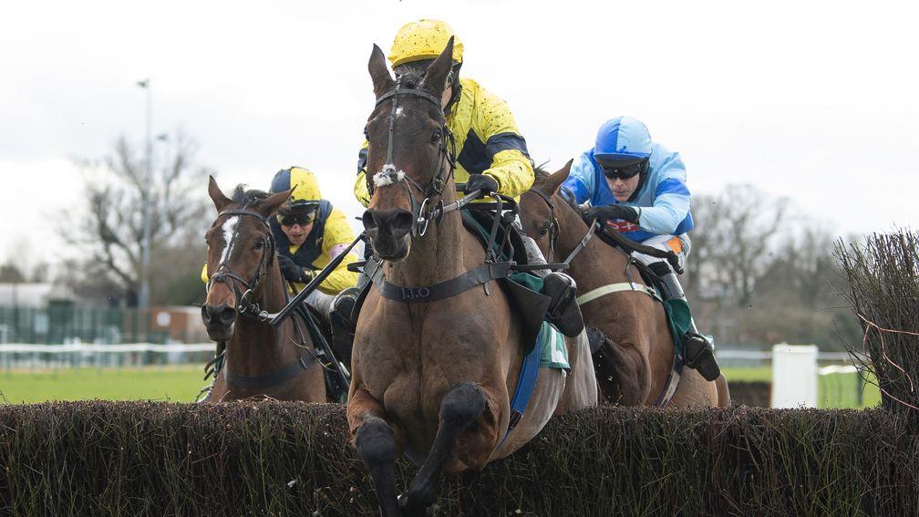 Sky Pirate: among the confirmations for the Betfair Hurdle