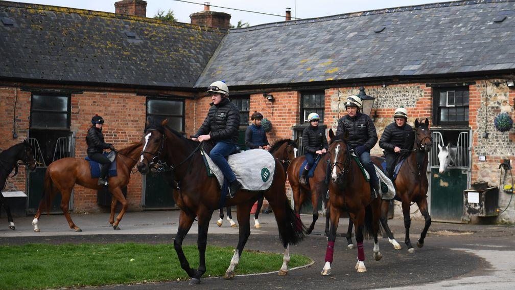 Archie Watson's string prepares to go out to the gallops
