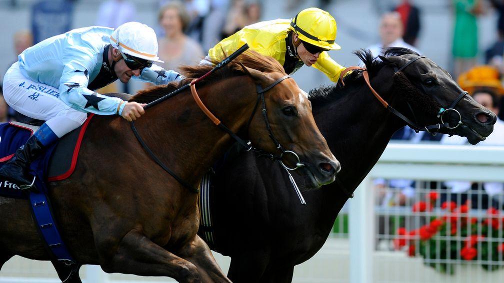 ASCOT, ENGLAND - AUGUST 09: Craig Williams of Australia riding Goldream (yellow) win The Dubai Duty Free Shergar Cup Dash Stakes at Ascot racecourse on August 09, 2014 in Ascot, England. (Photo by Alan Crowhurst/Getty Images)