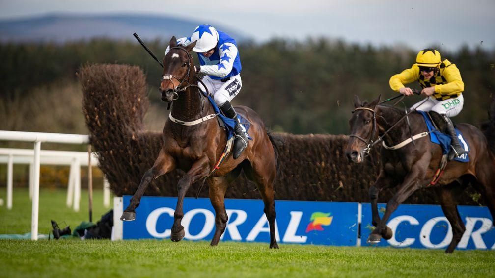 Kemboy: is the star attraction at Thurles