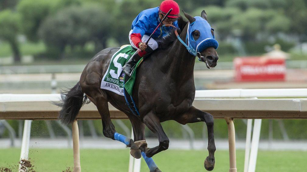 Mongolian Groom: was fatally injured at the 2019 Breeders' Cup