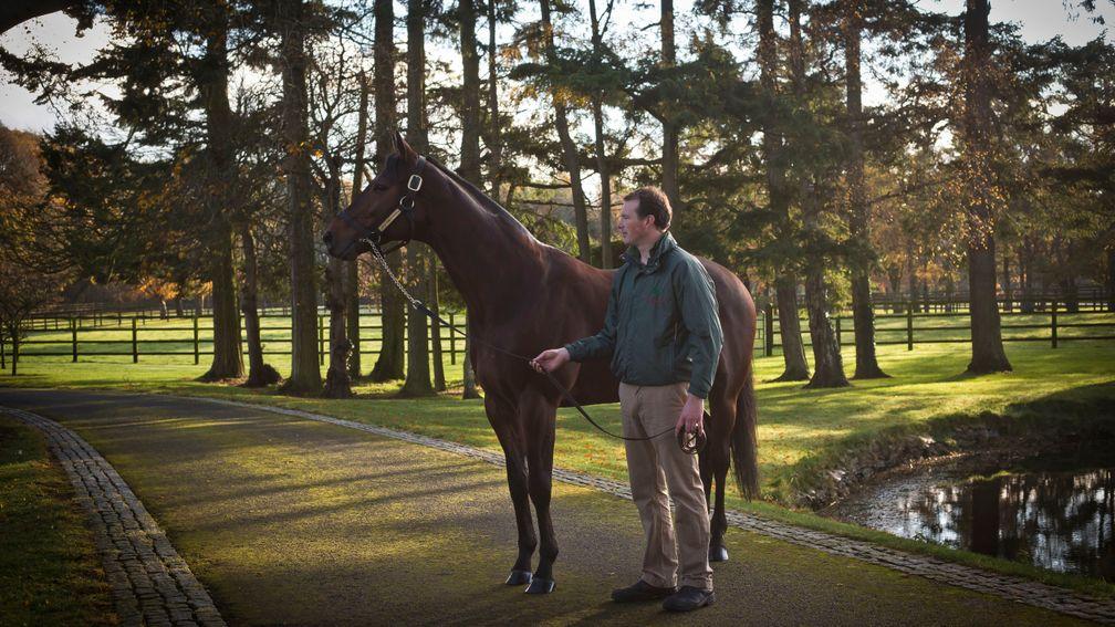Sea The Stars and Ray Moore at the Aga Khan's Gilltown Stud