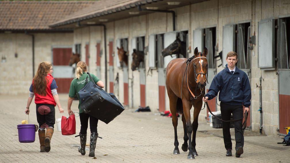 Stable staff: Ascot and Chelmsford identified as tracks that offer a free meal in the stable staff canteen