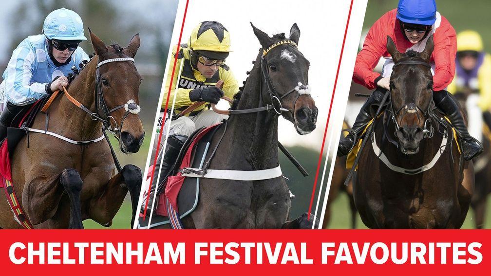 From left to right: Honeysuckle, Shishkin and Allaho are all strong favourites for their respective festival targets