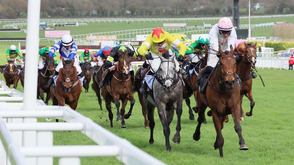 Absurde surges to victory in the County Hurdle at the 2024 Cheltenham Festival