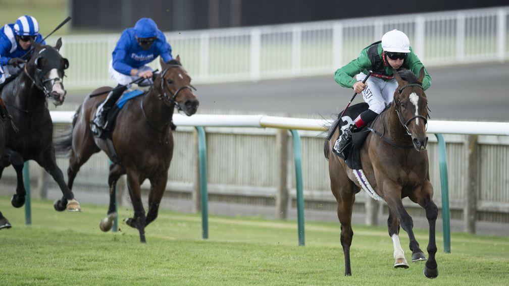 Limato made a triumphant return at Newmarket in June