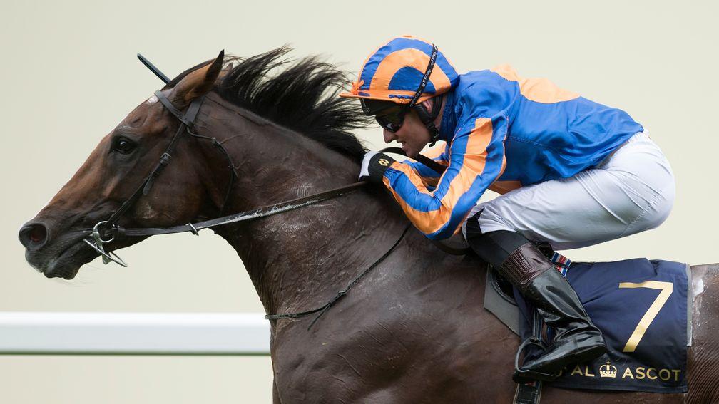 Idaho: Hardwicke Stakes winner was also placed in the Epsom and Curragh Derbys