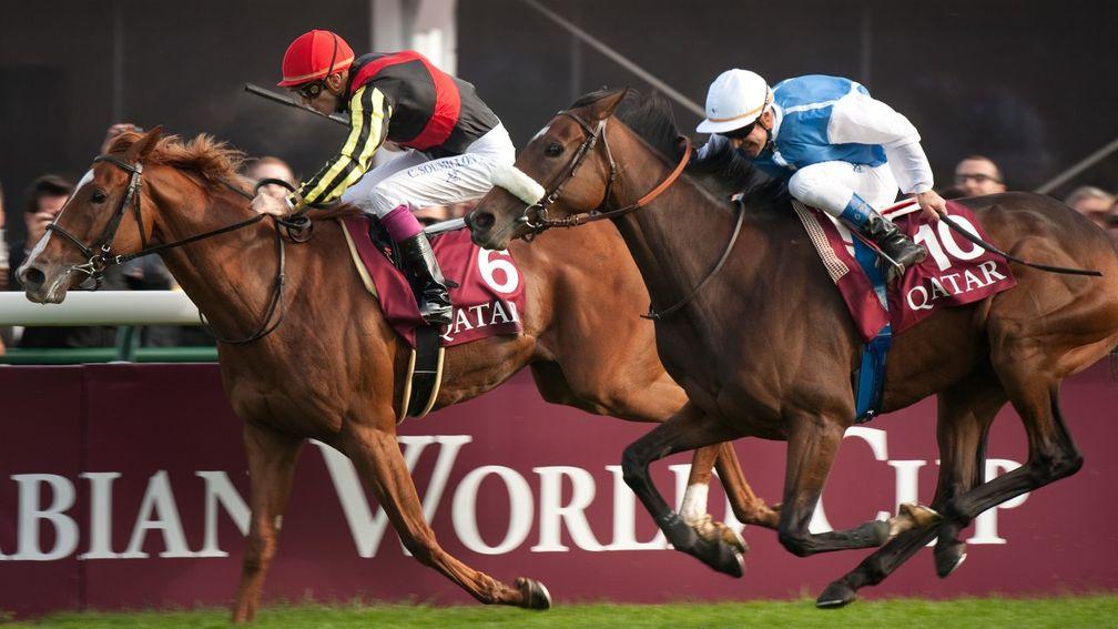 Orfevre being reeled in by Solemia (white sleeves) in a dramatic finish to the Arc of 2012