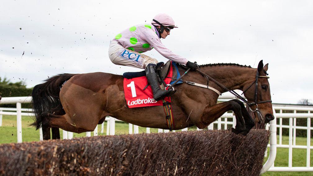 Chacun Pour Soi: hot favourite for Wednesday's Champion Chase