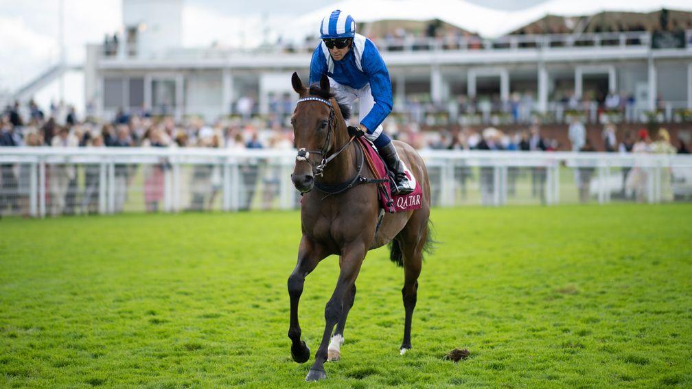 Battaash: retired champion sprinter will be making a guest appearance at Newmarket on Saturday