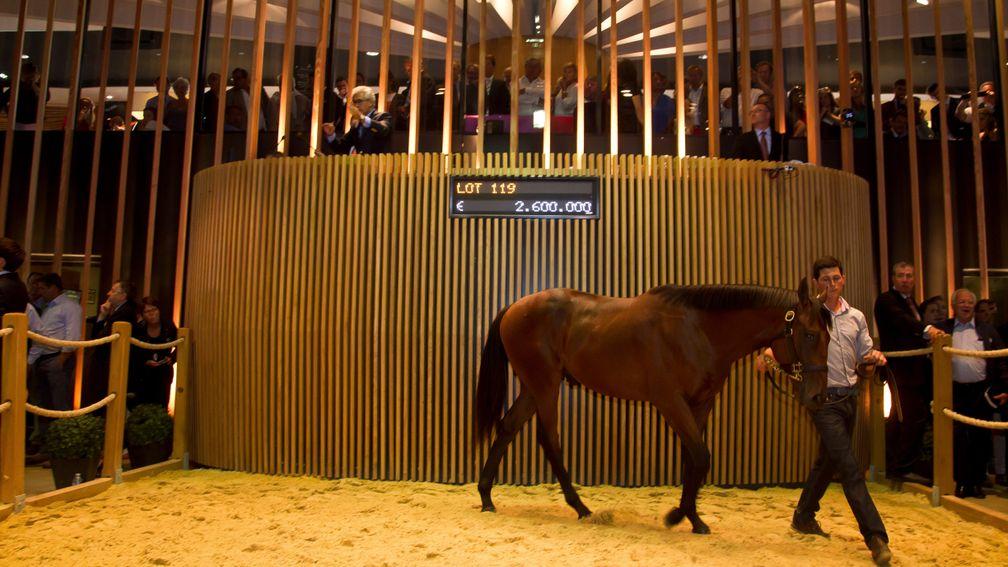 Parabellum: Dubawi colt became the most expensive horse sold at Arqana when selling as a yearling for €2,600,000
