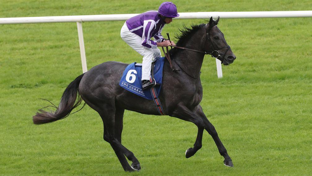 Hong Kong, pictured earlier in the season, has a stallion's pedigree