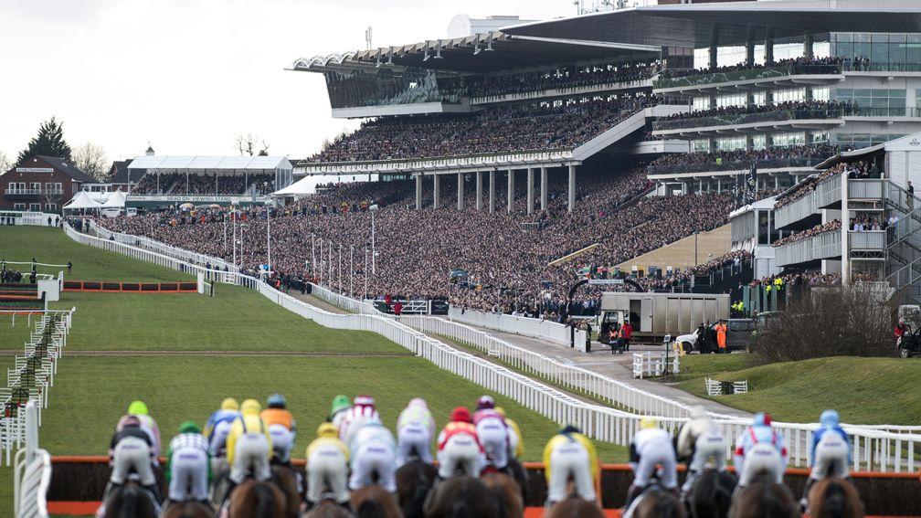 The Cheltenham Festival accounted for 25 of the top 40 betting races with Ladbrokes Coral