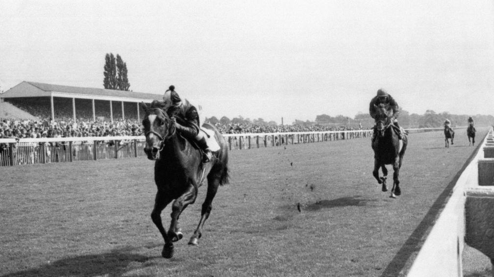 The moment Yorkshire's heart broke: Roberto hands Brigadier Gerard his first - and only - defeat