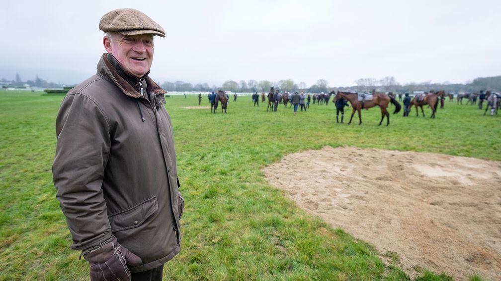 Willie Mullins: expected to dominate this year's Cheltenham Festival
