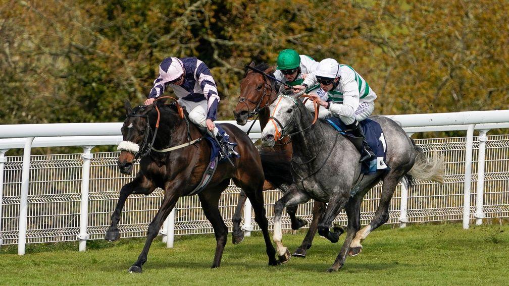 Alpinista (grey, nearest) wins from Makawee and James Doyle (pink) at Goodwood in April