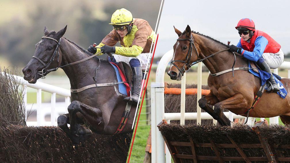 Galopin Des Champs (left) and Facile Vega: leading fancies at the Cheltenham Festival