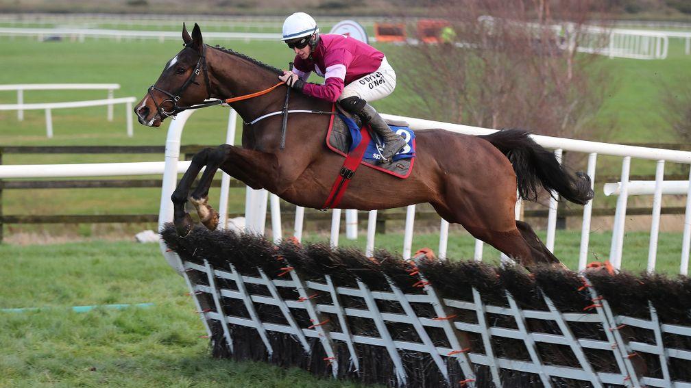 Vision D'honneur: a comfortable winner at Punchestown last time