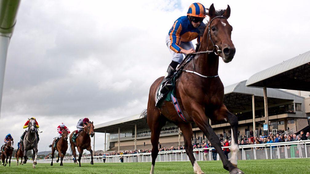 Churchill: seen here winning the Goffs National Stakes at the Curragh last year