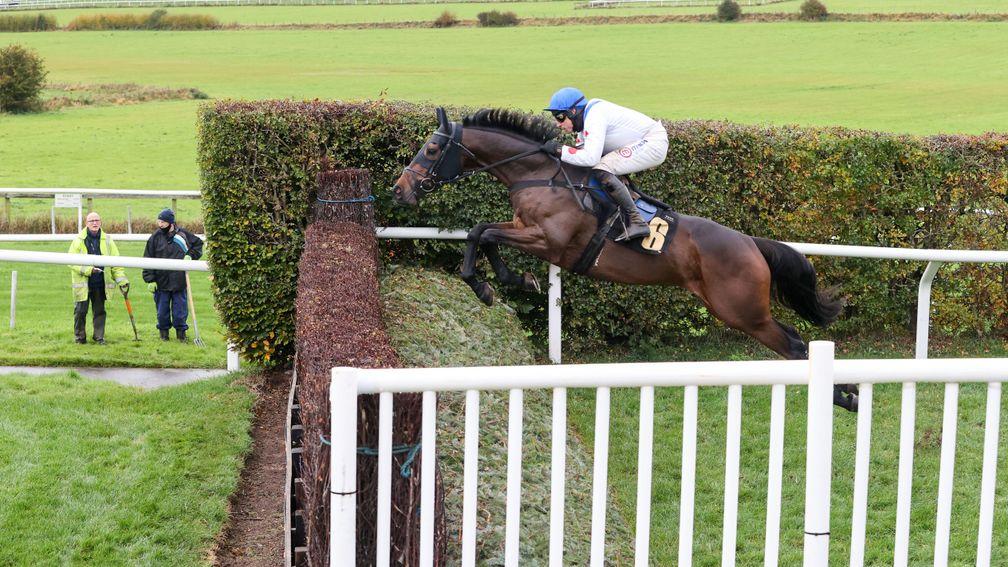 Protektorat: was flawless over fences at Carlisle last month