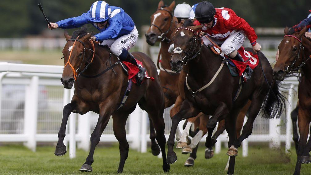 Tajaanus (blue) is a 50-1 shot for the 1,000 Guineas and looks unlikely to go that way at this stage