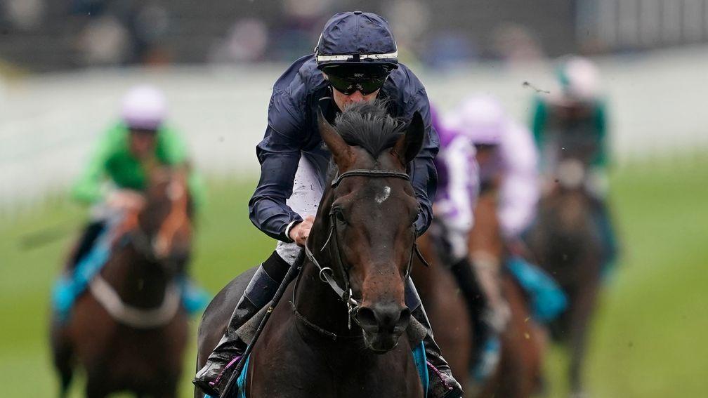 Sir Dragonet: on course for the St Leger