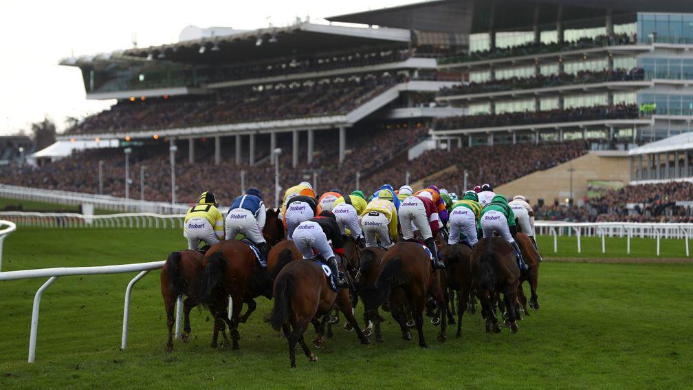The Cheltenham Festival: long road ahead with many diversions along the way